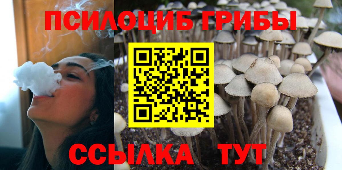 Бахчисарай  Галлюциногенные грибы GOLDEN TEACHER  Вход с VPN 